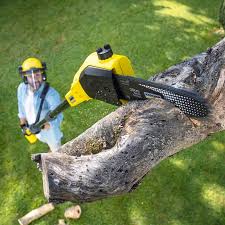 Best Arborist Consultation Services  in Mount Olive, NC
