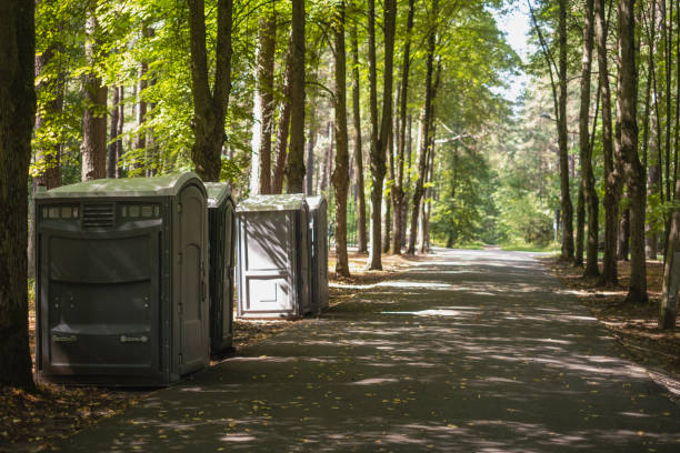 How Our Tree Care Process Works  in  Mount Olive, NC